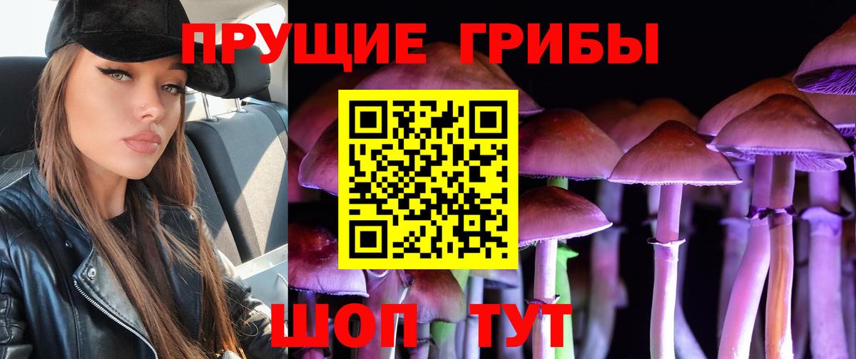 Галлюциногенные грибы MAGIC MUSHROOMS Котлас